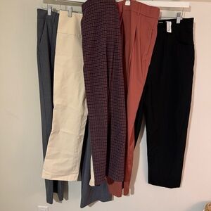 Women's Pants Bundle of 5 Theory Zara- Black, Rust, Cream, Gray, Burgundy Plaid